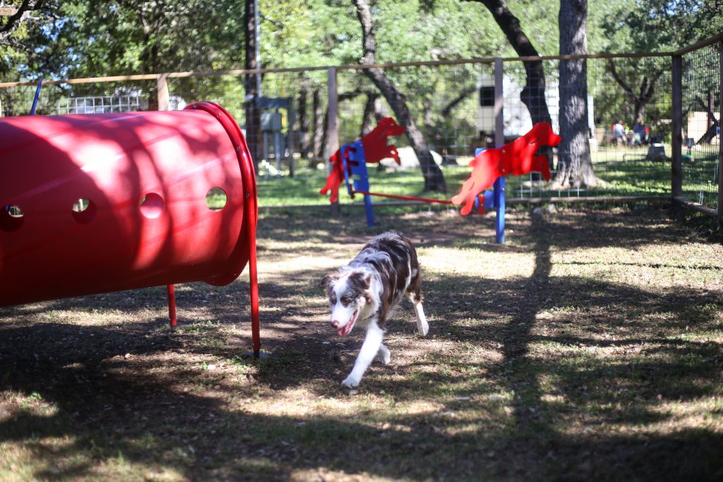 Jellystone Park Hill Country, TX: Pet-friendly amenities: Dog park, dog washing station, cabins & RV sites