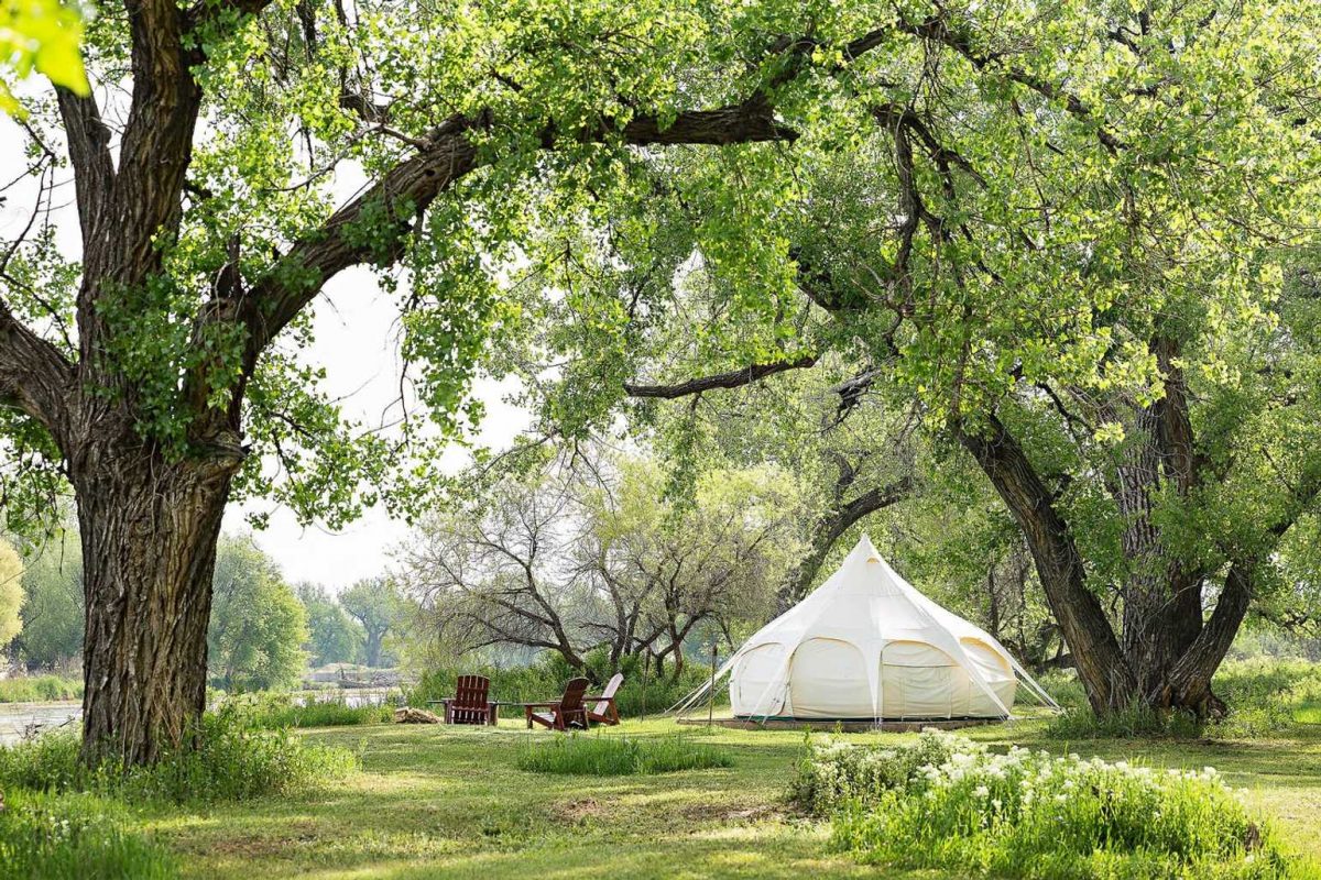 Glamping yurt surrounded by trees and situated next to the South Platte River.
