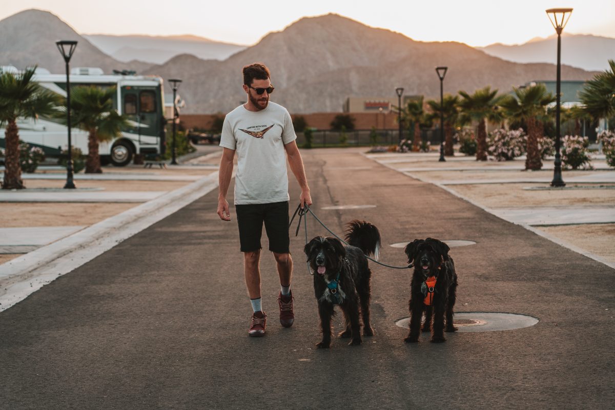 Walking the dogs at Indian Wells RV Resort with an RV and palm trees in the background.