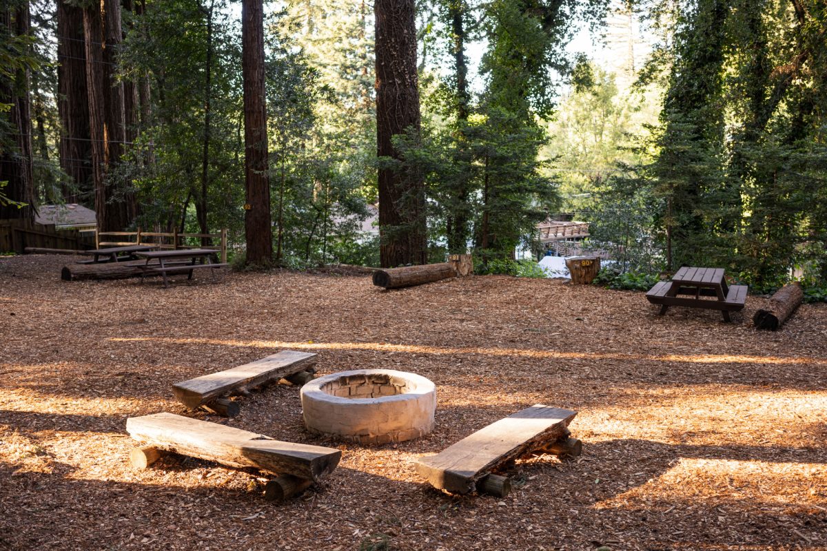 Empty tent sites at the Santa Cruz Redwoods RV Resort in Felton, CA.