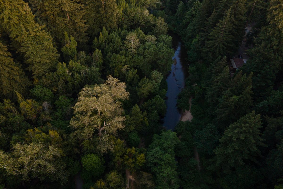 An aerial view of the San Lorenzo River and area of the Santa Cruz Redwoods RV Resort in Felton, California.