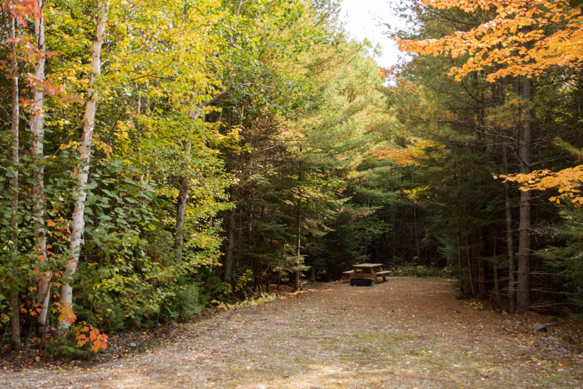 An empty primitive campsite at Wildfox Cabins and Campground in Scarborough, Maine.