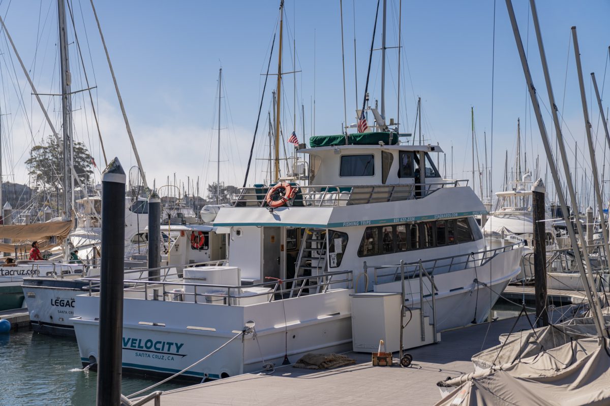 The Velocity boat for whale watching in Monterey Bay that departs from Santa Cruz, California.