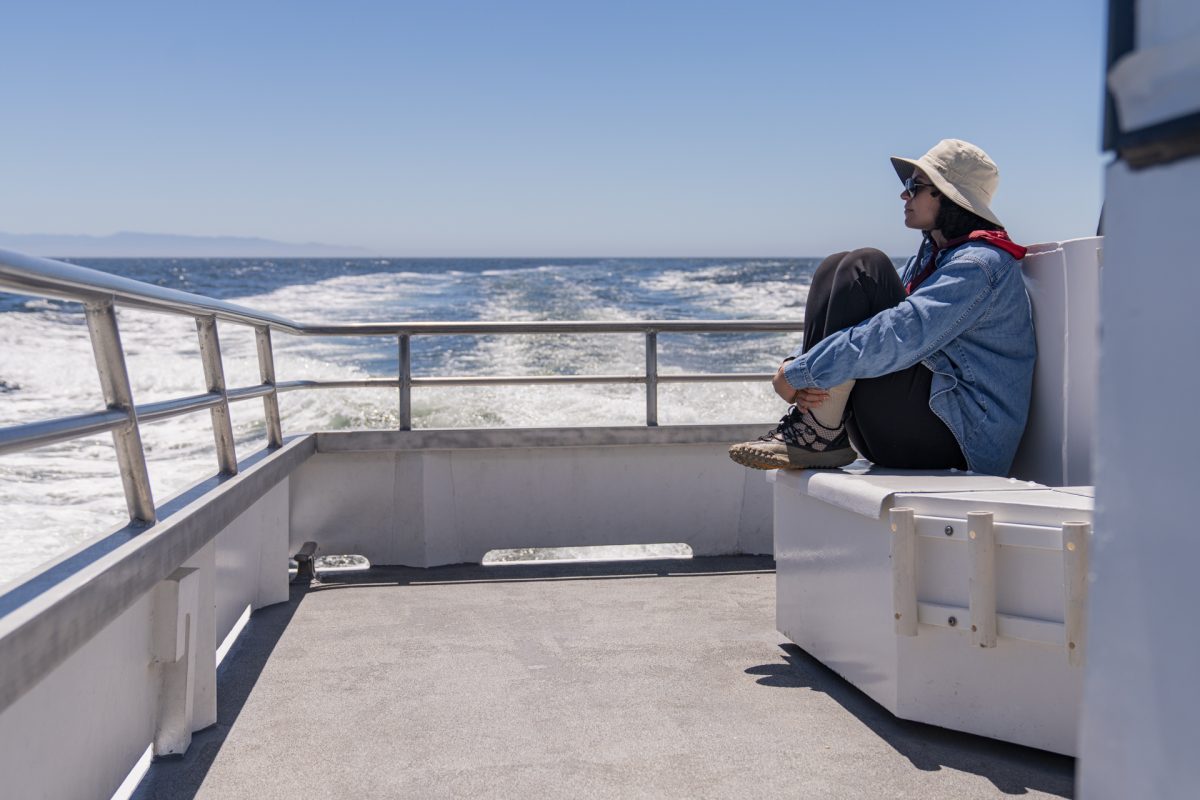 A person on a whale watching tour in Monterey Bay near Santa Cruz, California.