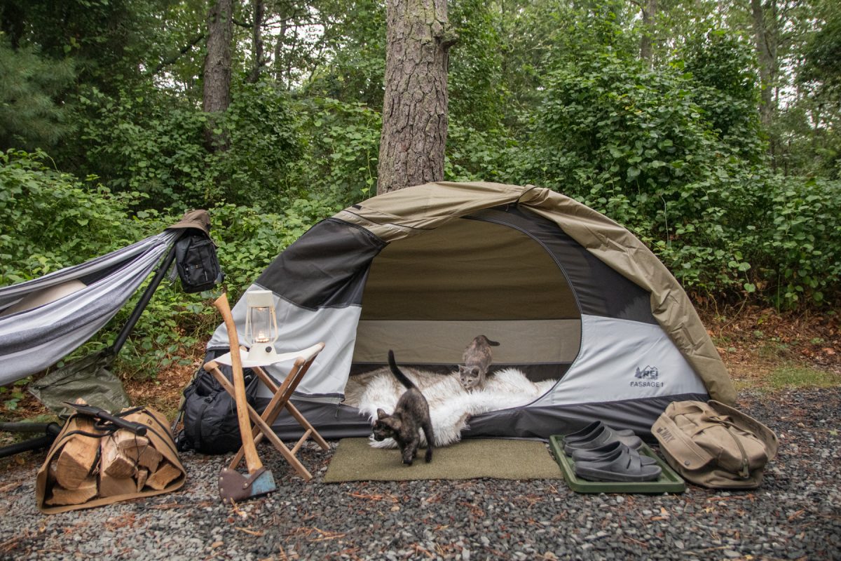 Two kittens run out of an REI tent while out camping.