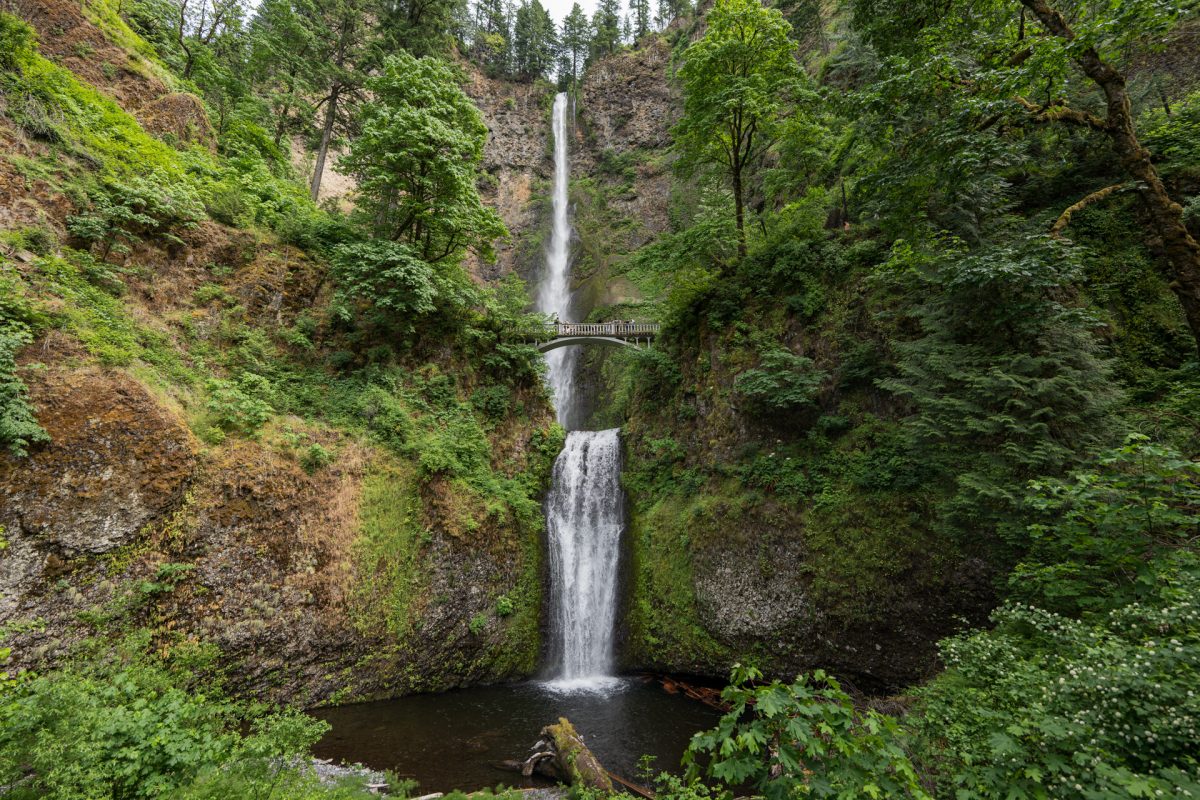The upper and lower Multnomah Falls is an excellent destination for those  on an Oregon road trip.