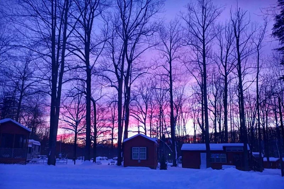 A purple-blue sunset is visible through the trees above the campground in the winter night sky. 