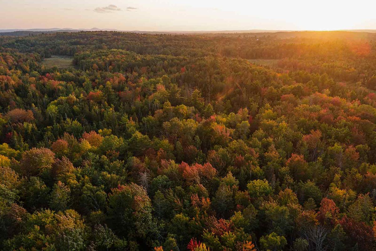 Sun setting over forest land in Maine in the fall. 