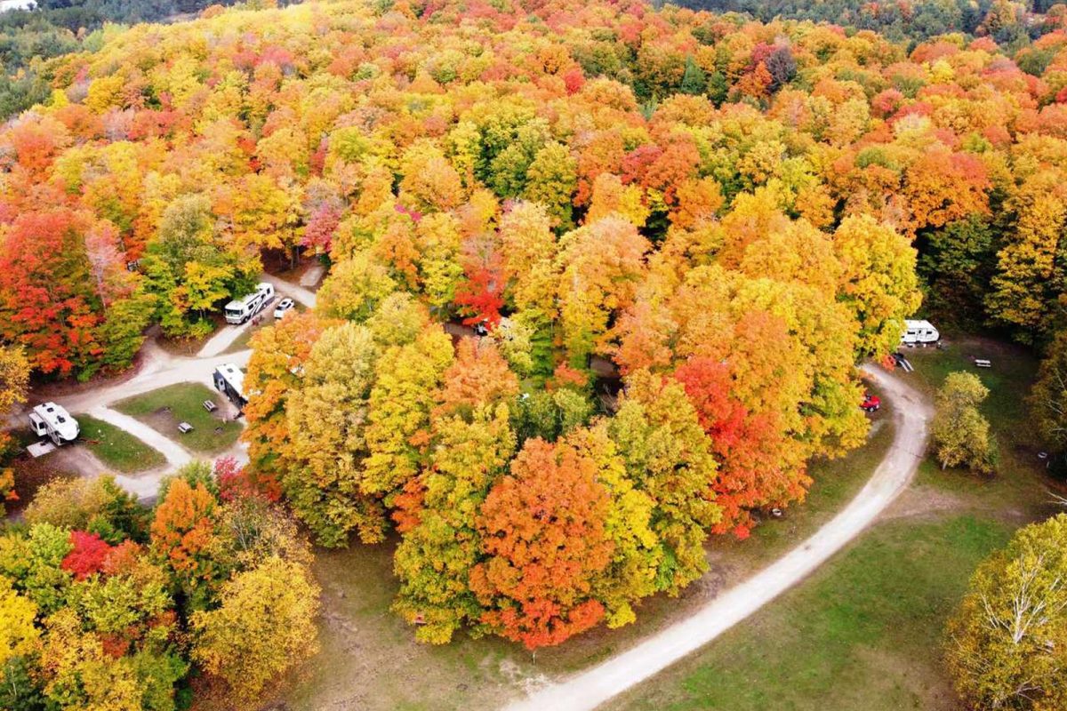 Campsites at Newberry Campground are hidden beneath this aerial shot of fall foliage. 