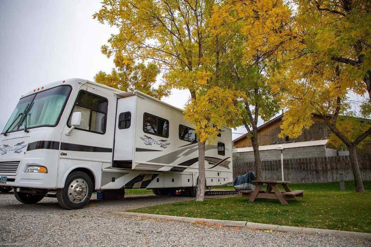 An RV next to a tree with yellow leaves 