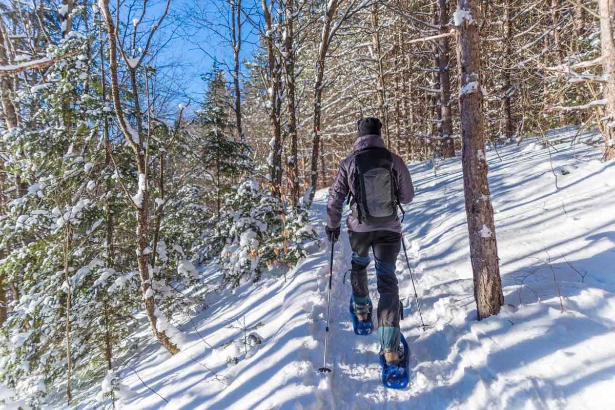 back of someone snowshoeing up trail