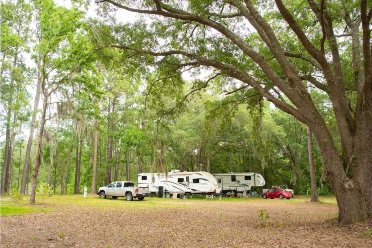 RVs parked under tall trees at one of the best places to camp in 2023