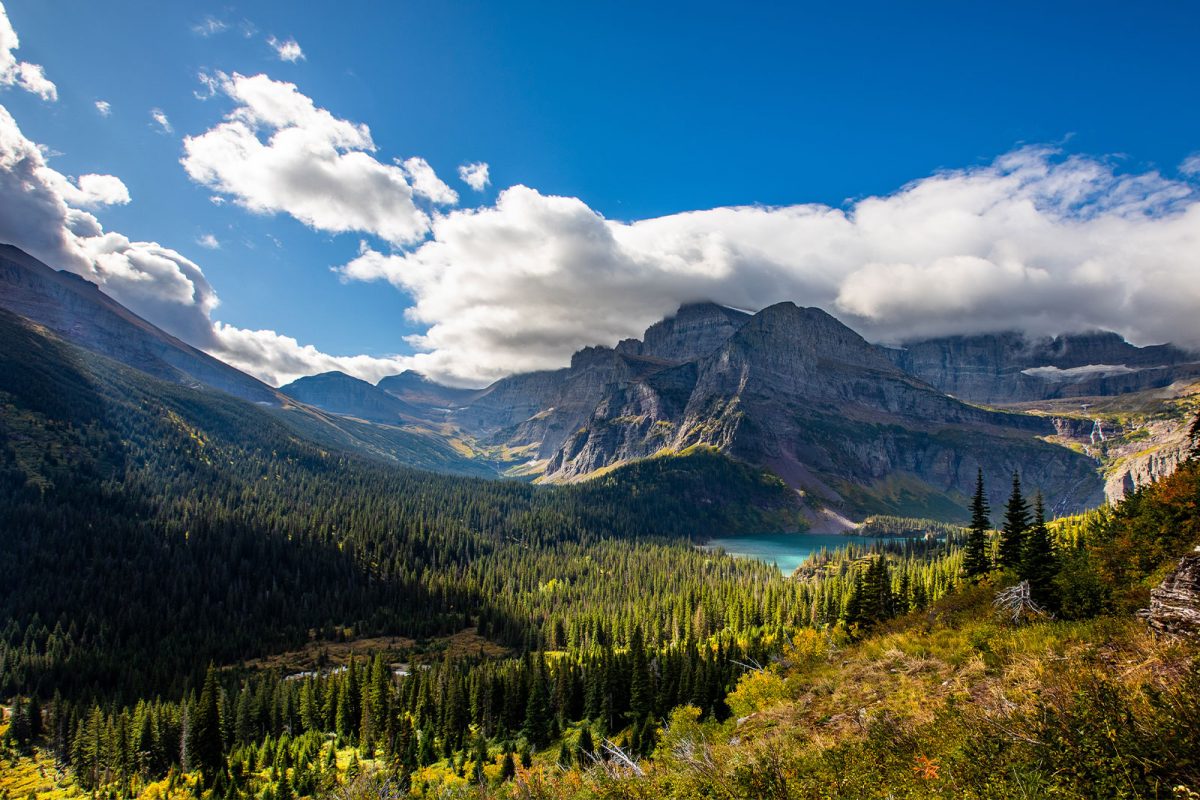 mountains and trees at Glacier National Park 