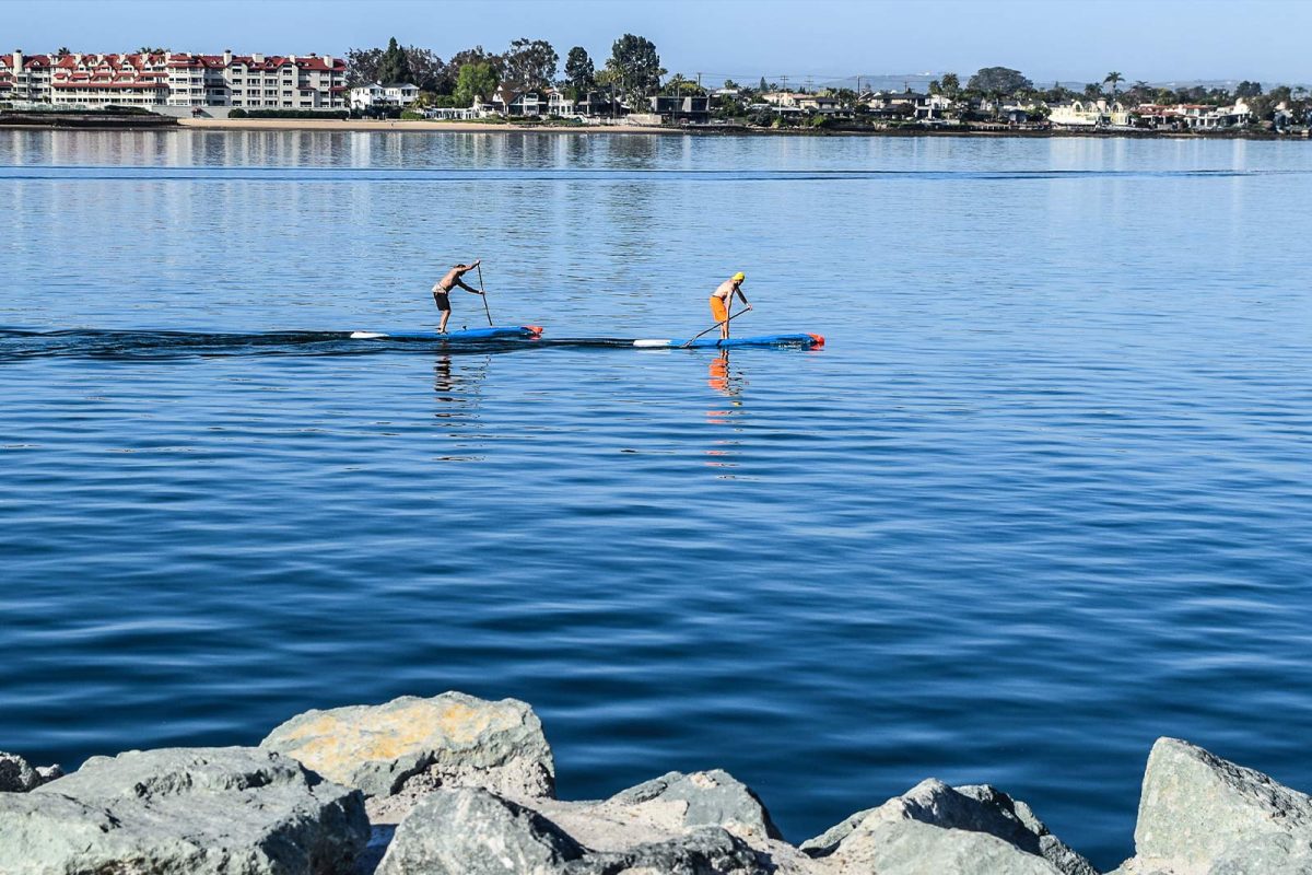 paddleboarders in San Diego Bay