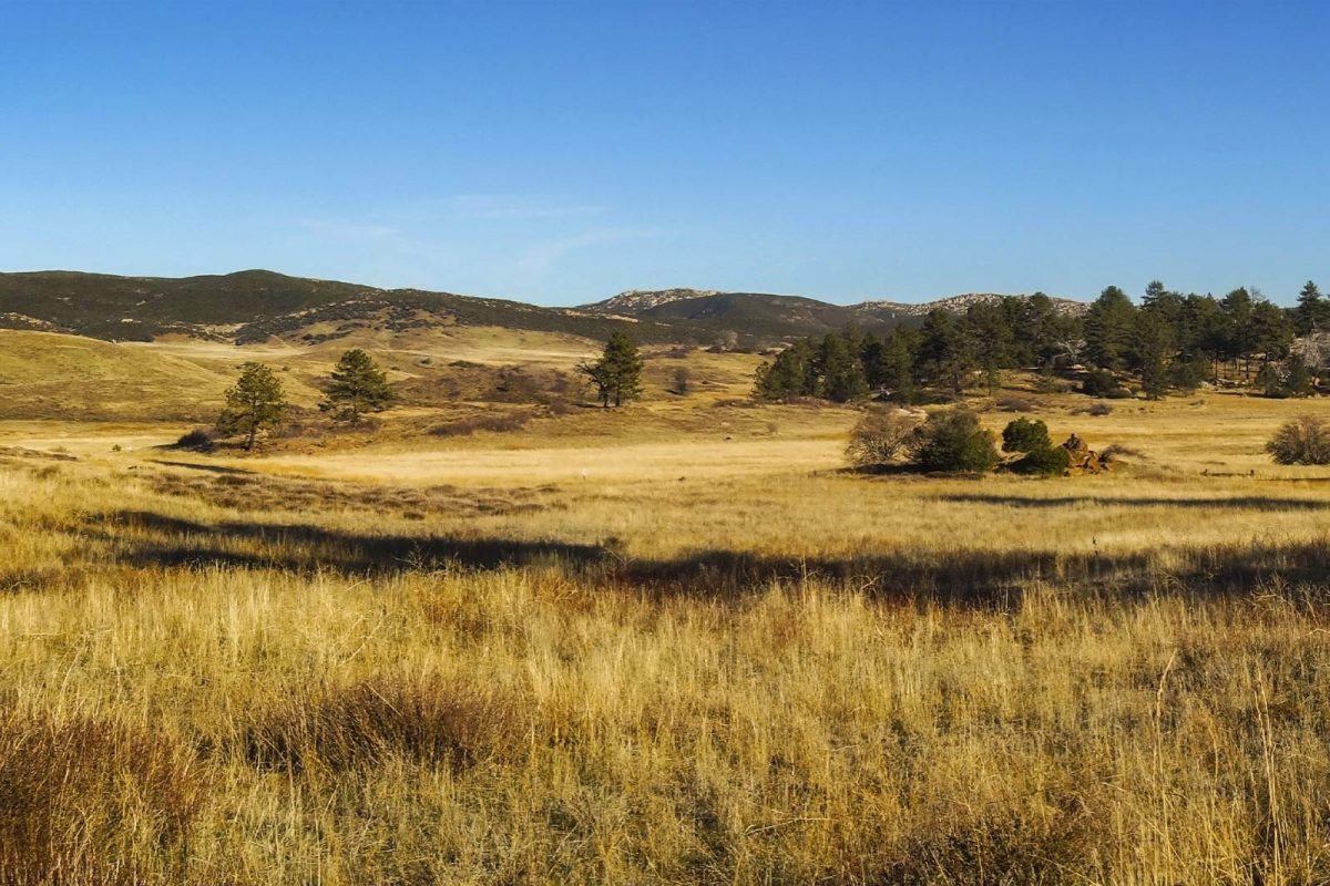 dry plains in Cuyamaca Rancho State Park in San Diego