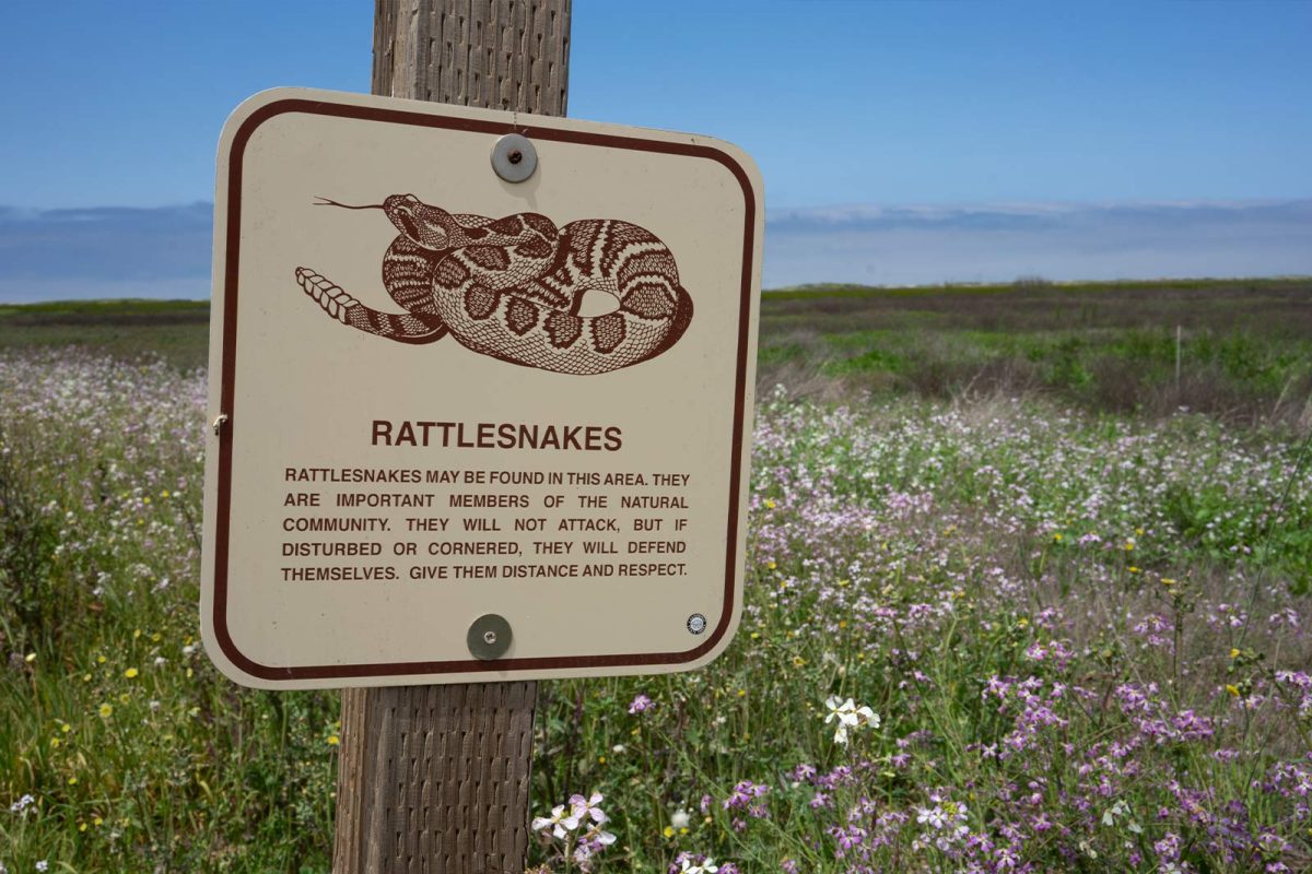 "watch out for rattlesnakes" sign
