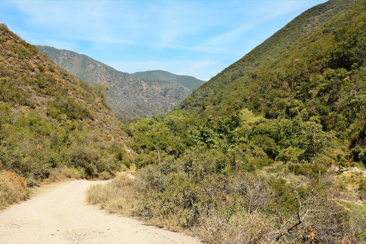 Trail through Cleveland National Forest, with green hills on either side