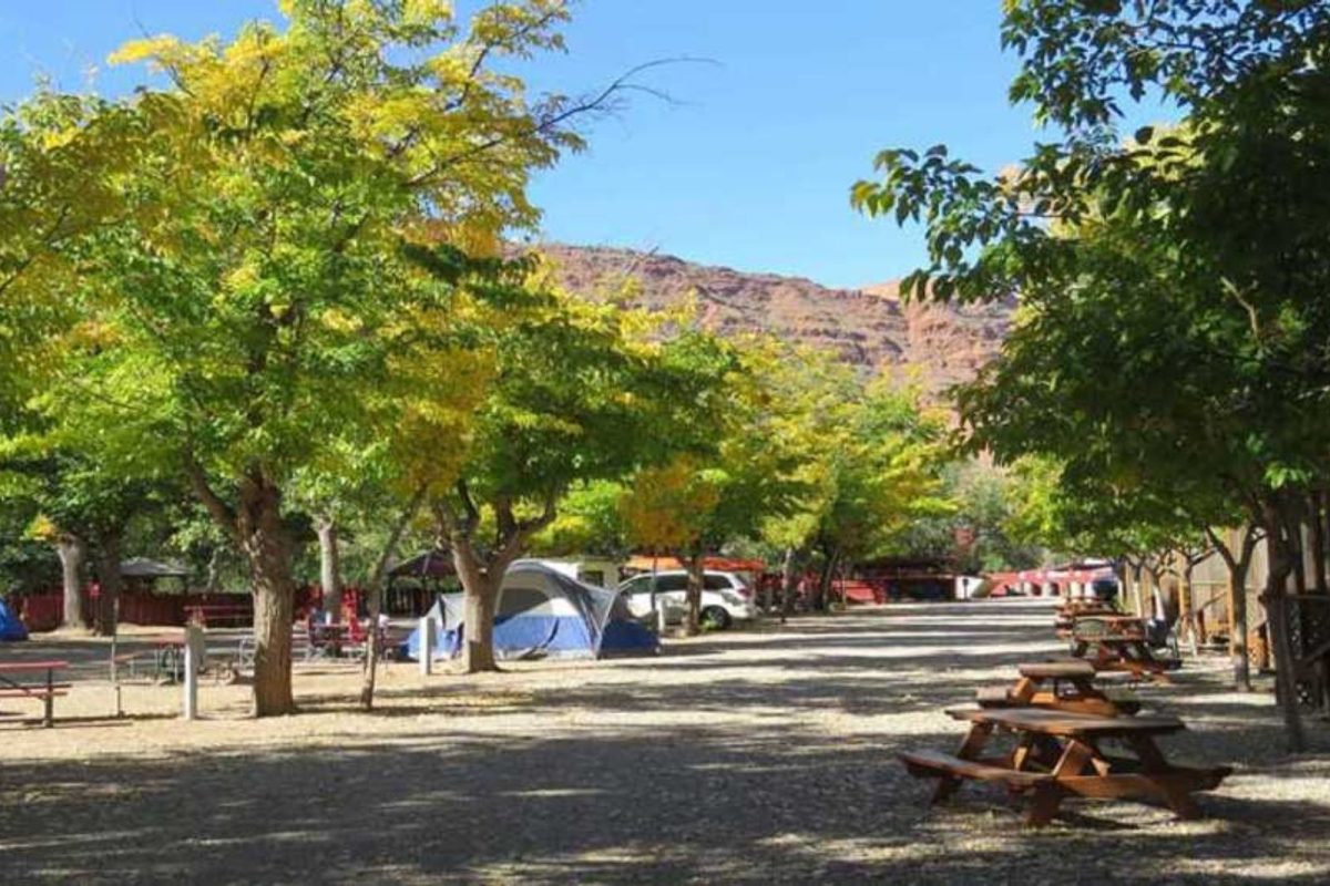 tents and picnic tables at well-groomed spring camping destination