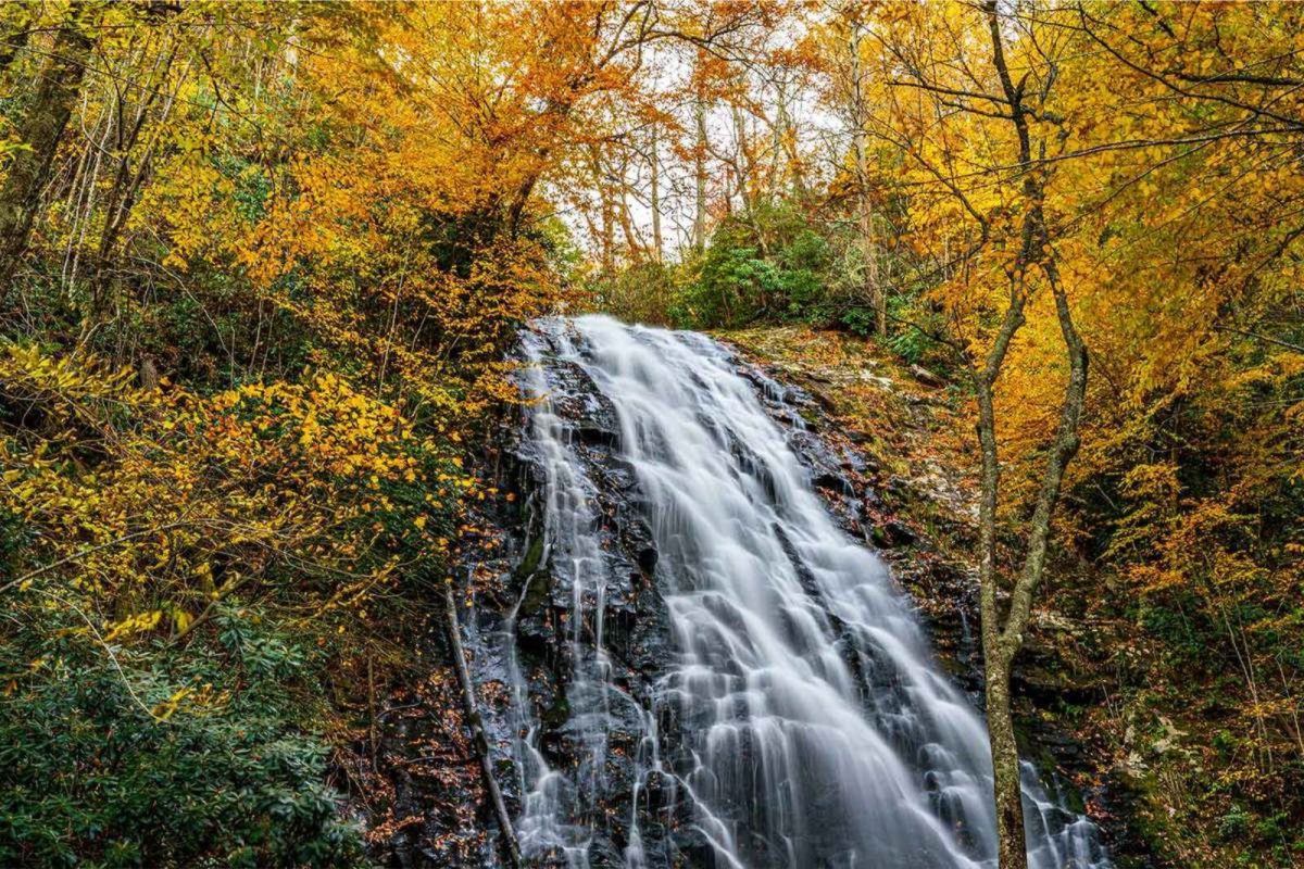 waterfall surrounded by fall leaves at Crabtree Falls hike near Asheville
