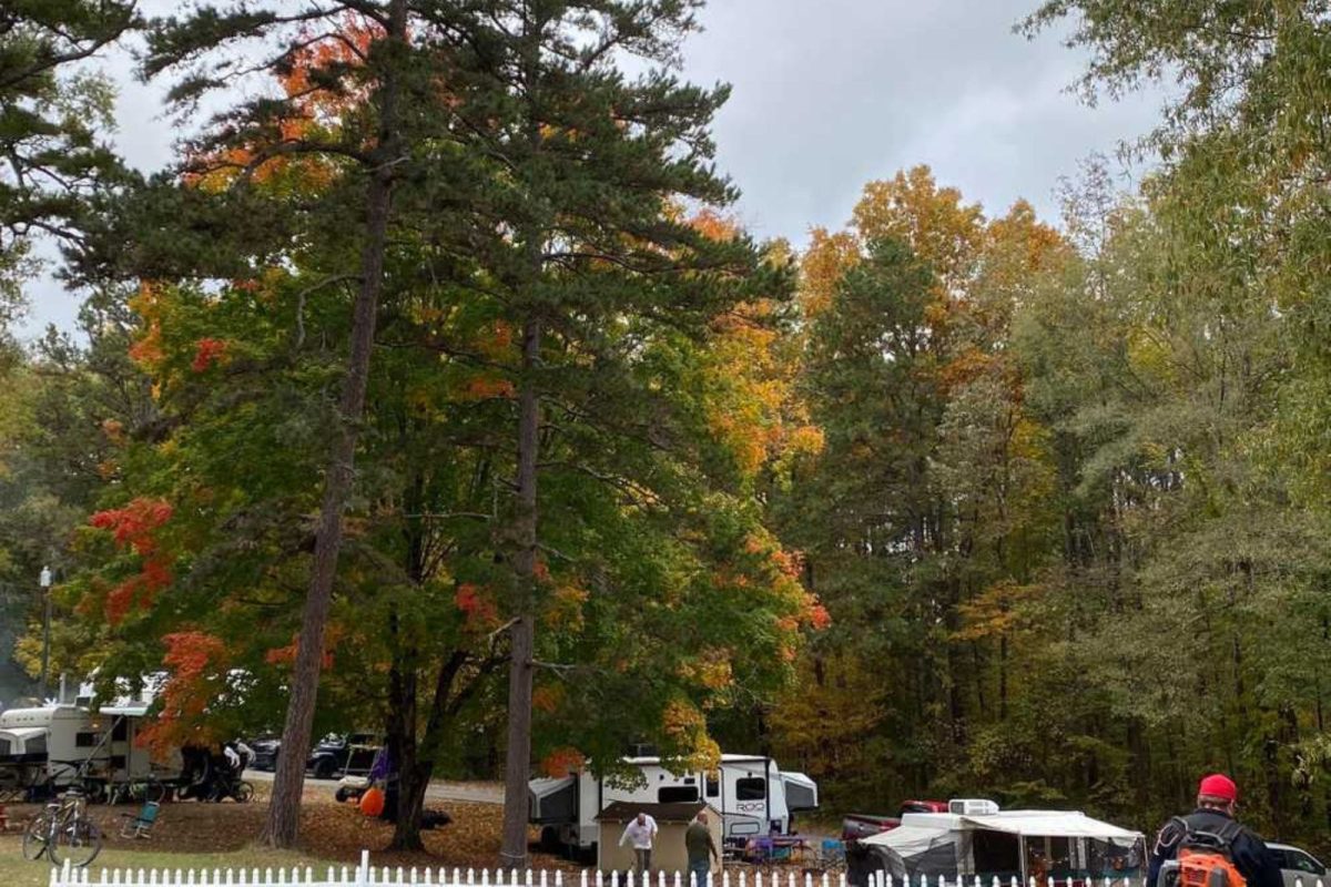 people and RVs parked underneath tall trees with fall leaves at campground near Winston-Salem