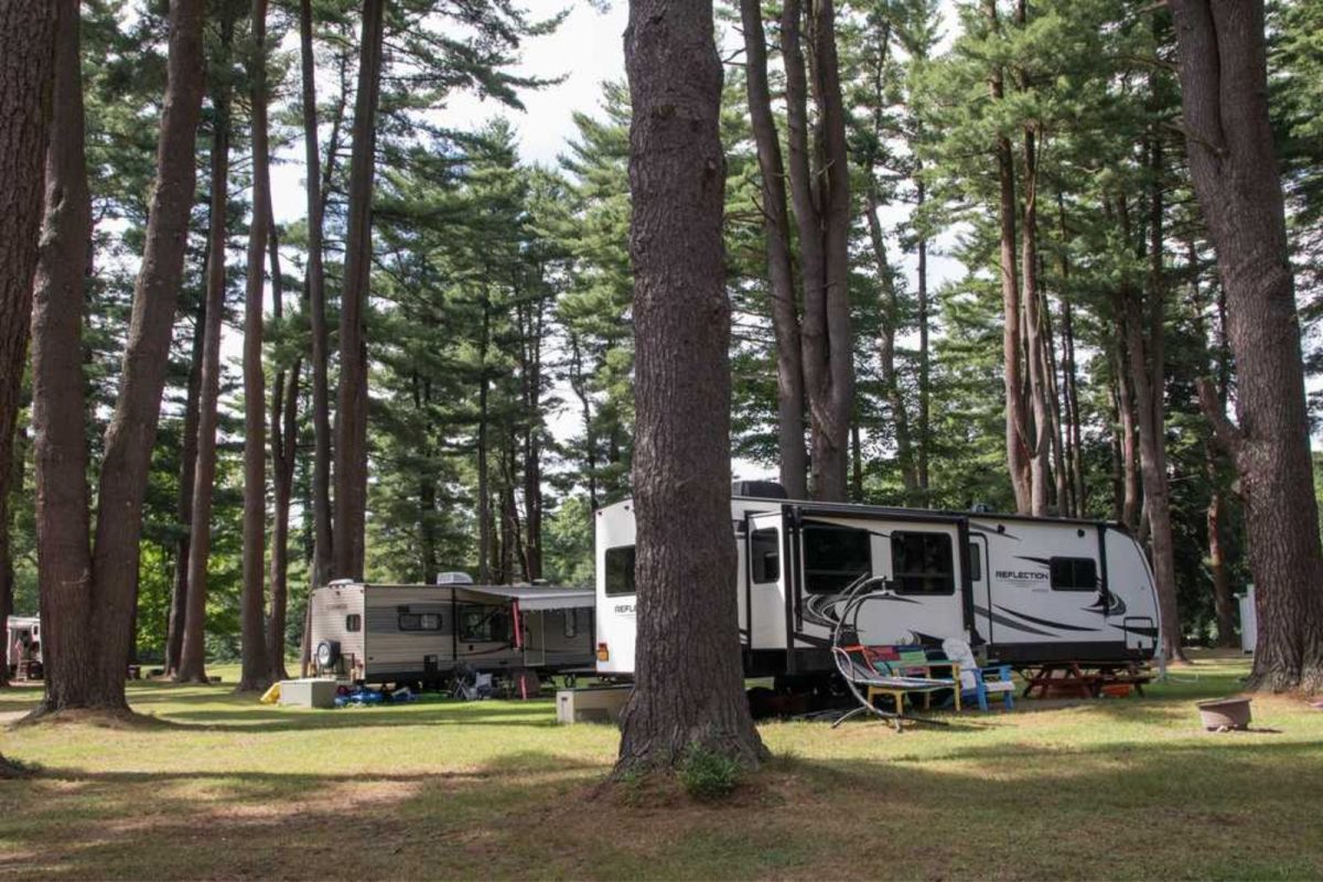 two RVs parked among tall trees