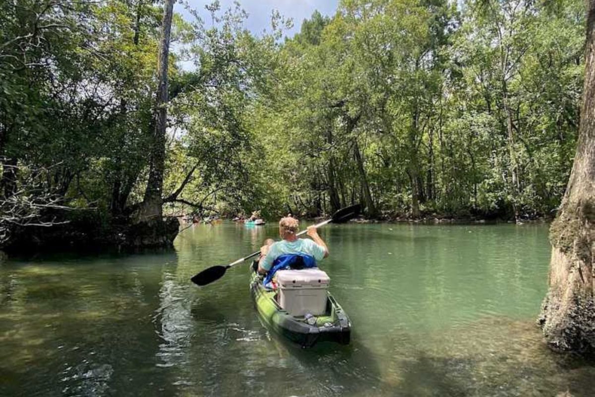 A camper paddles down a river in FL with a cooler on the back of their kayak. 