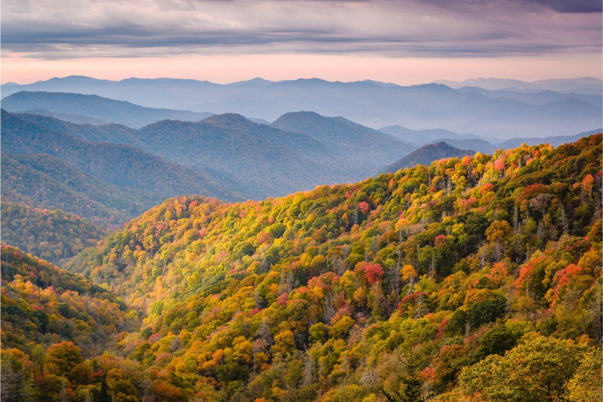 changing leaves at Great Smoky Mountain National Park, one of the best camping destinations of 2024