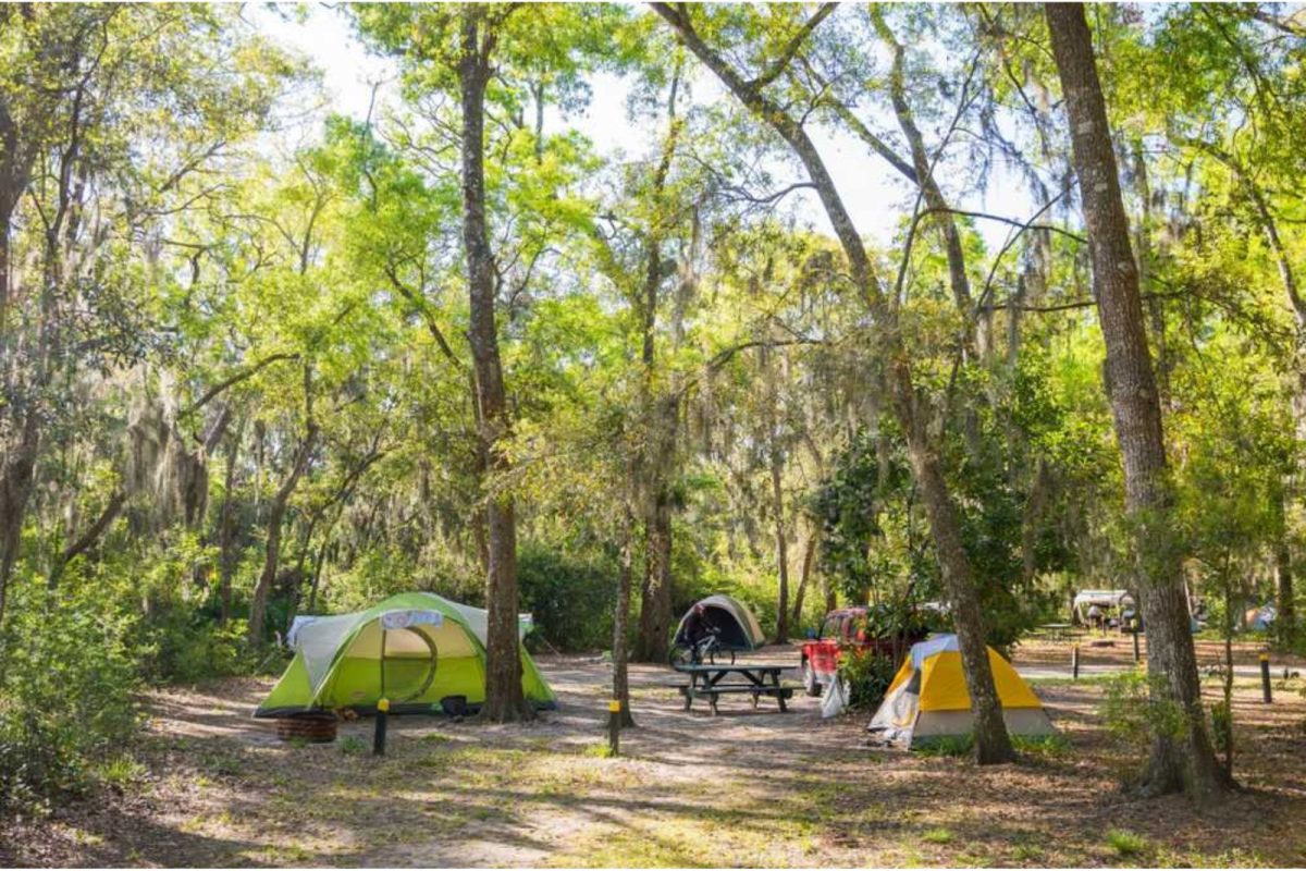tents underneath trees at Jekyll Island Campground