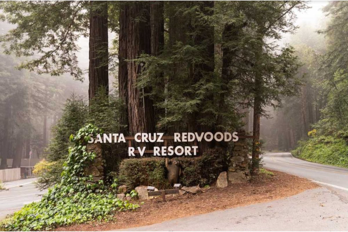 campground sign on redwoods