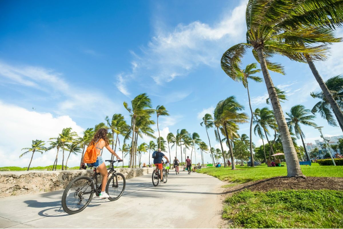people biking among palm trees in Florida, number one spring break camping destination