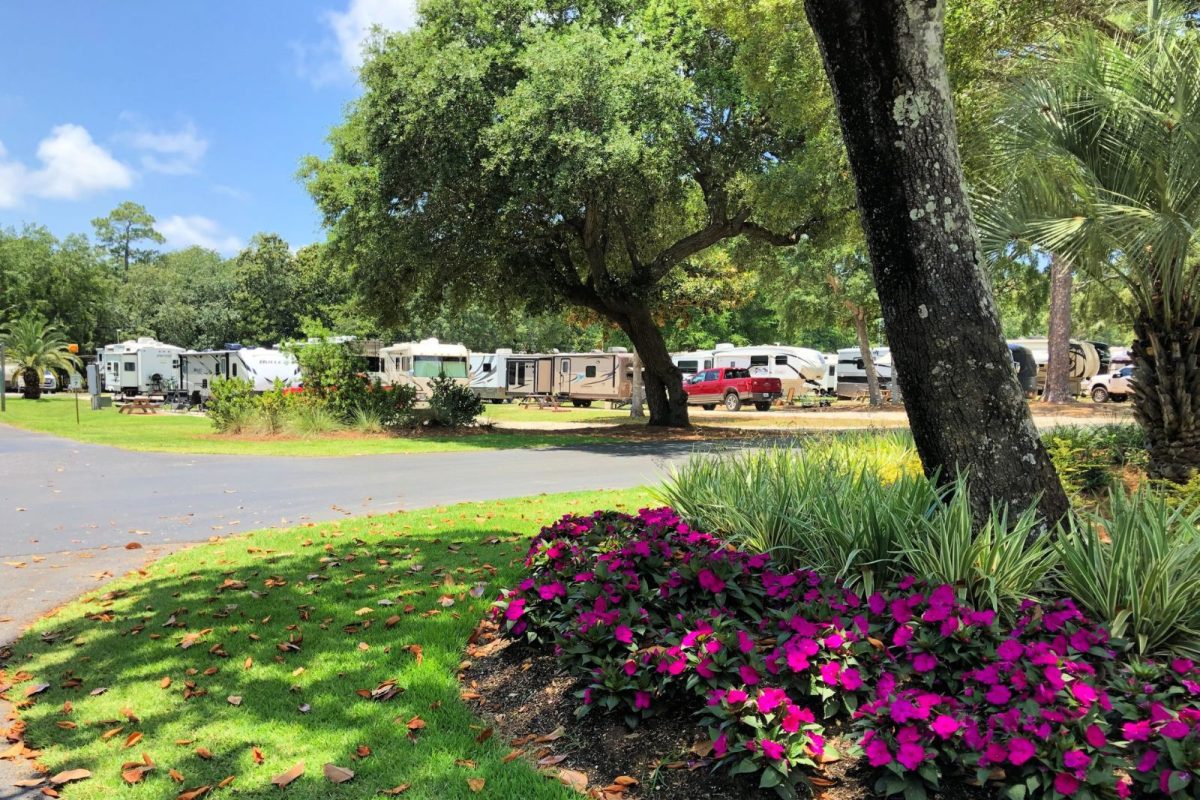 blooms and greenery at Island Retreat RV Park during spring break