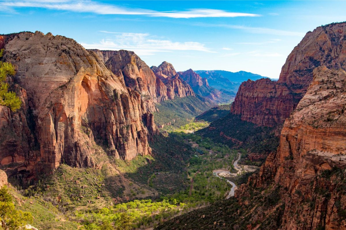 aerial view of canyons and valley at Zion National Park in Utah, top among trending spring break camping destinations for states