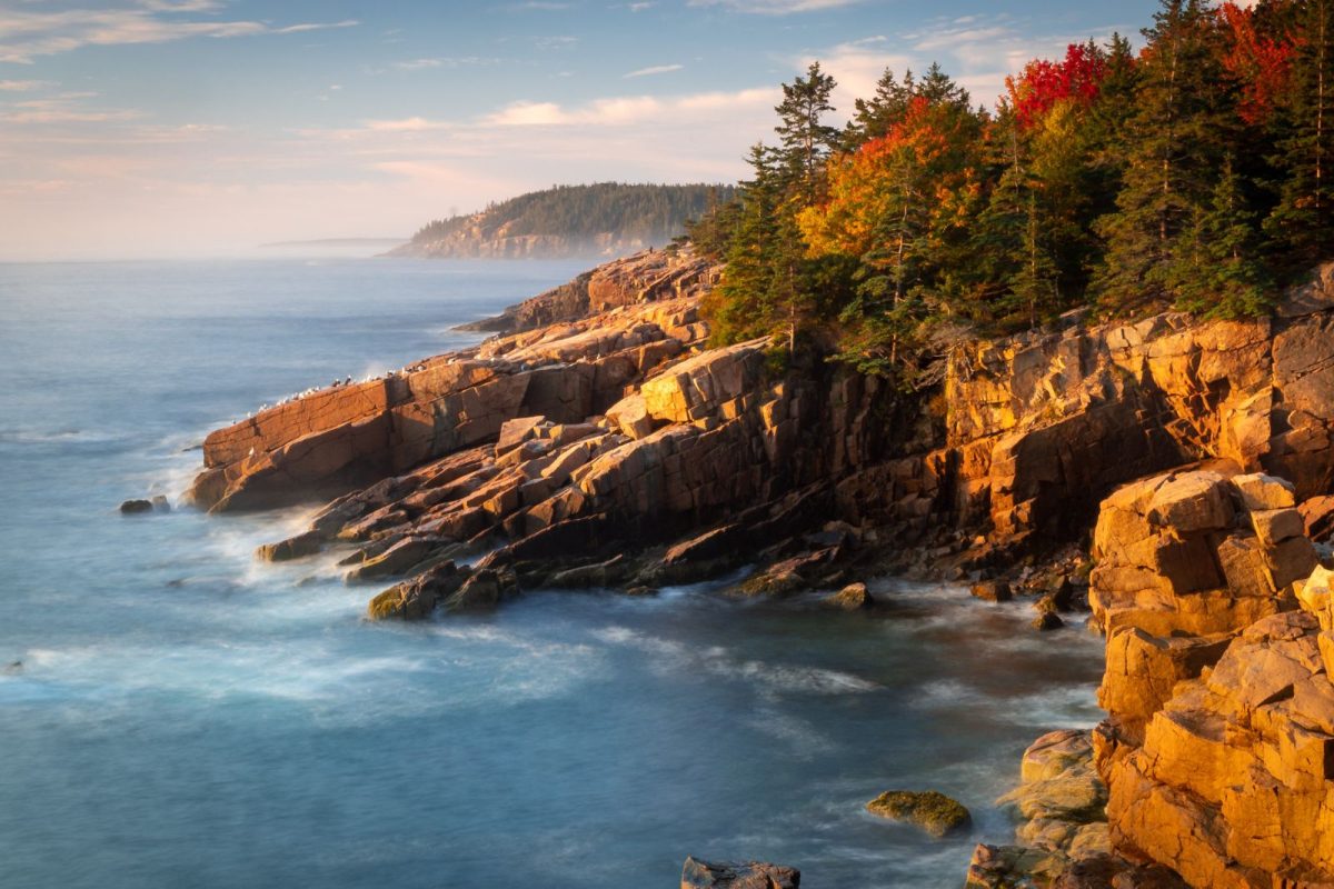 coastline of Acadia National Park, second most popular national park for 2024