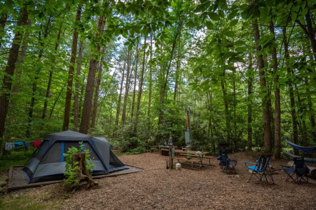tent and chairs set up among tall green trees at Greenbrier Campground near Great Smoky Mountains National Park